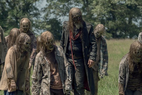Beta and the masked Whisperers on The Walking Dead