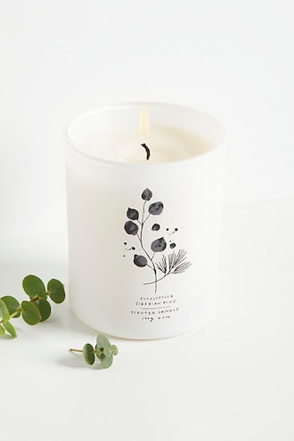 Eucalyptus + Siberian Pine Candle