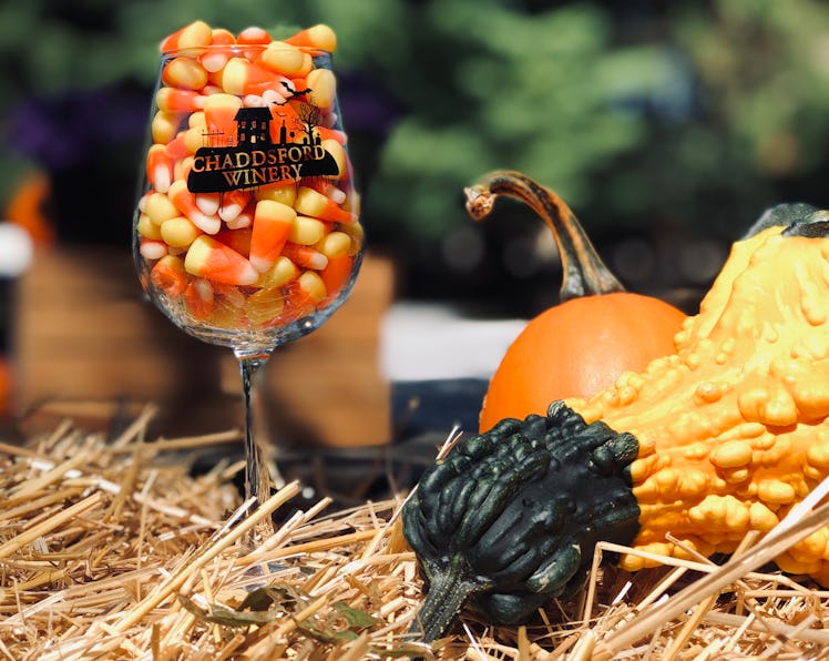 A wine glass filled with candy corn surrounded by pumpkins and hay is a sweet scene from Chaddsford ...