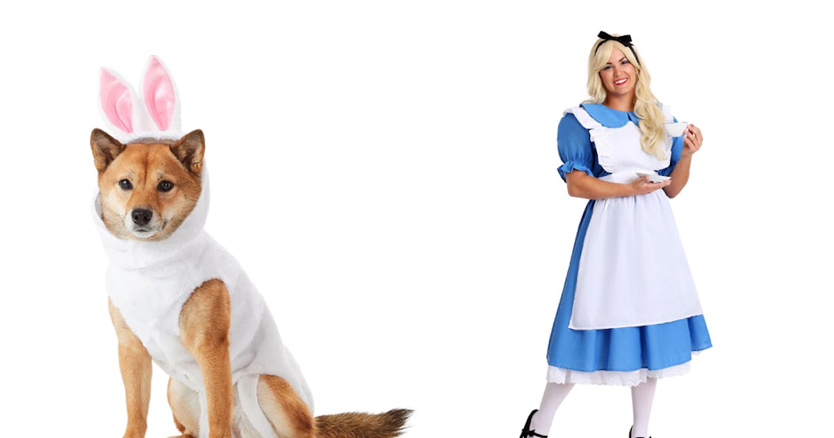 15 Matching Dog & Owner Halloween Costumes That Are Just Freakin' Adorable 15 Matching Dog & Owner Halloween Costumes That Are Just Freakin' Adorable