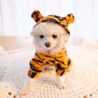 Tiger Pet Hoodie Costume