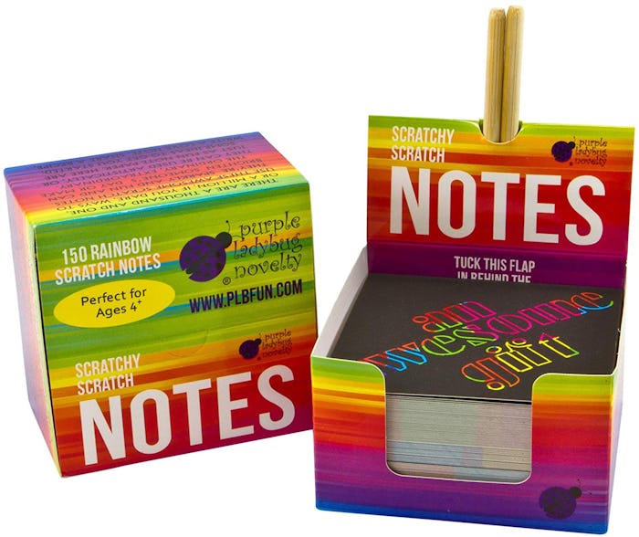 Purple Ladybug Novelty Rainbow Notes
