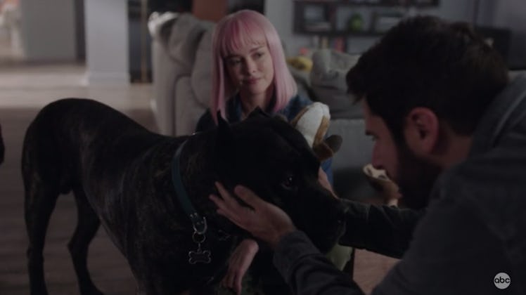 Gary, Maggie, and Colin the dog on 'A Million Little Things'