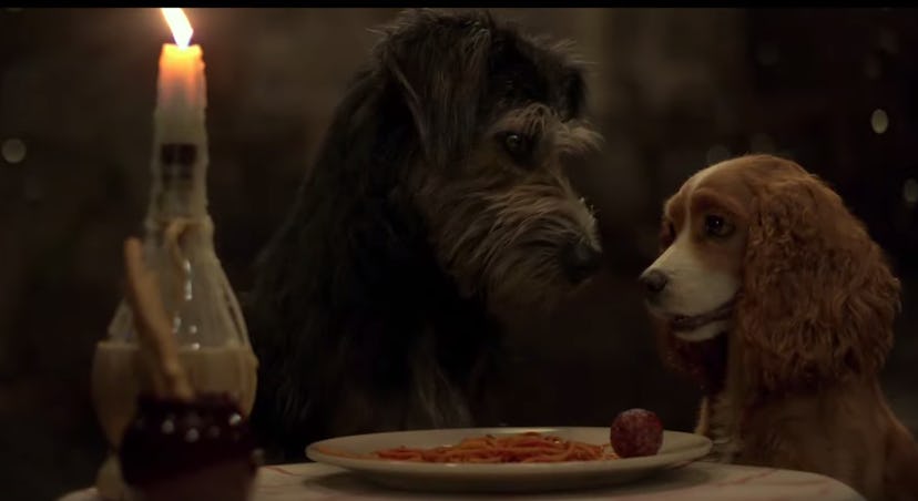 The live-action "Lady and the Tramp" is on Disney+.