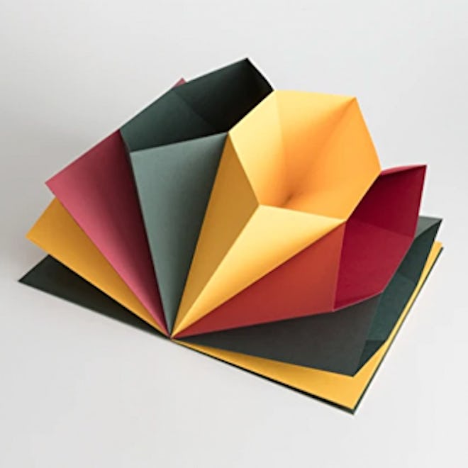 Multi Colored Accordion Folder