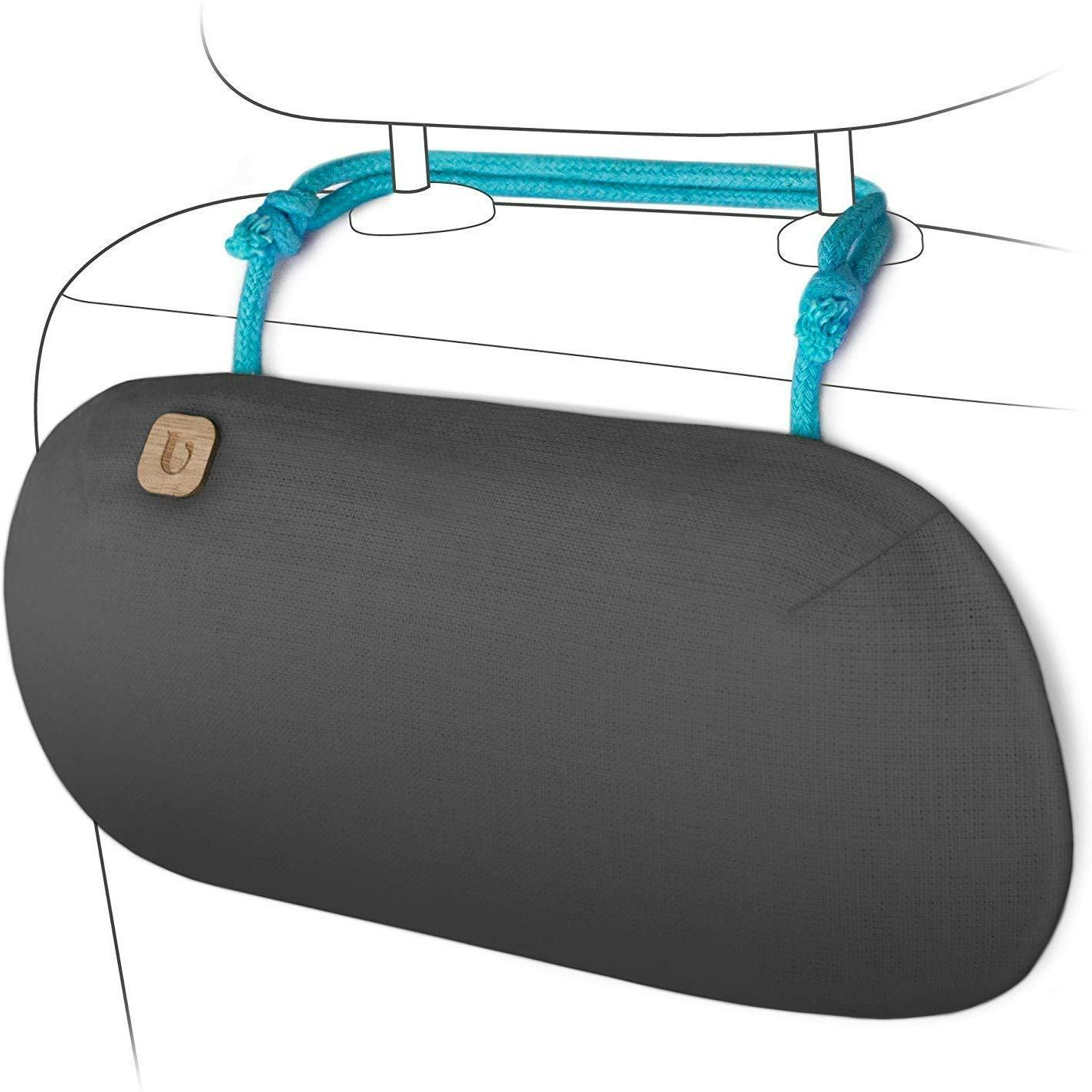 The 10 Best Odor Eliminators For Cars