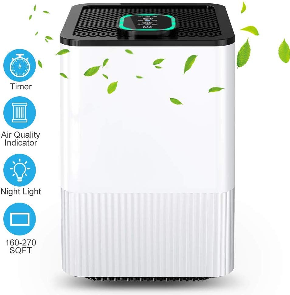 The 5 Best Budget Air Purifiers