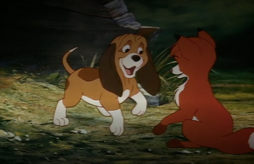 'The Fox and the Hound' is now on Disney+.