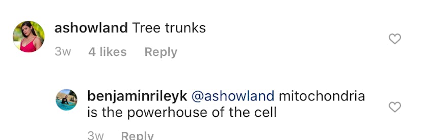 Temptation Island's Ashley H. comments "tree trunks" on Ben's Instagram photo