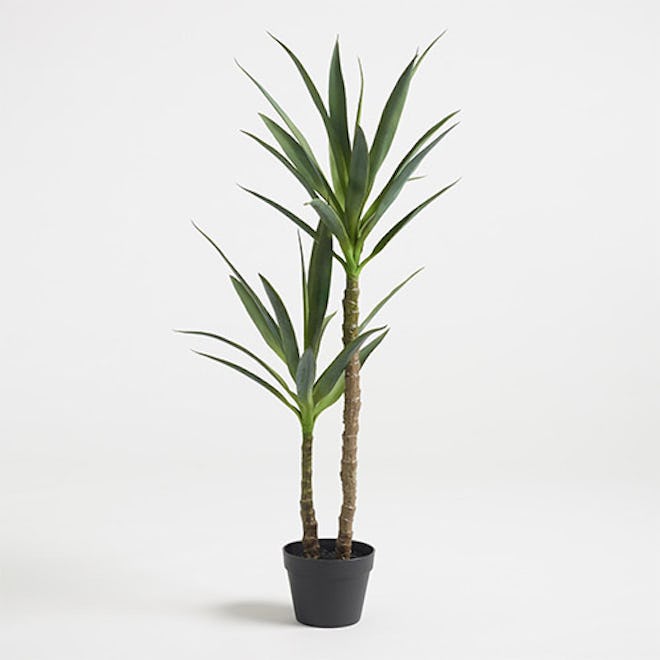 Faux Double Yucca Tree