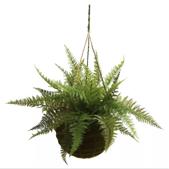 Artificial Leather Fern With Mossy Hanging Basket
