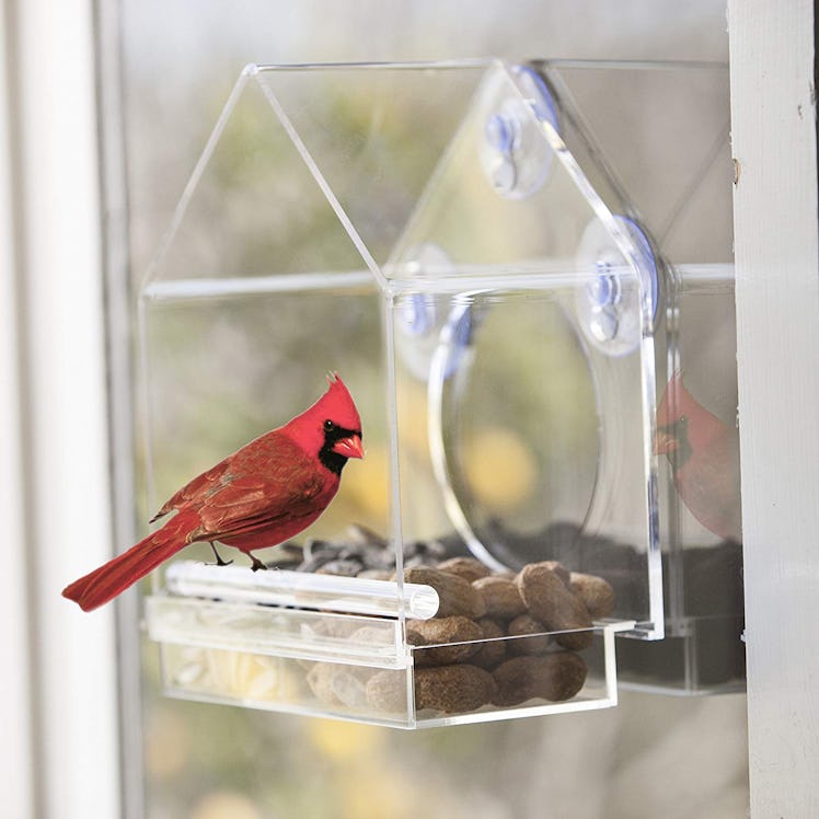 Window Bird Feeder House by Nature Anywhere