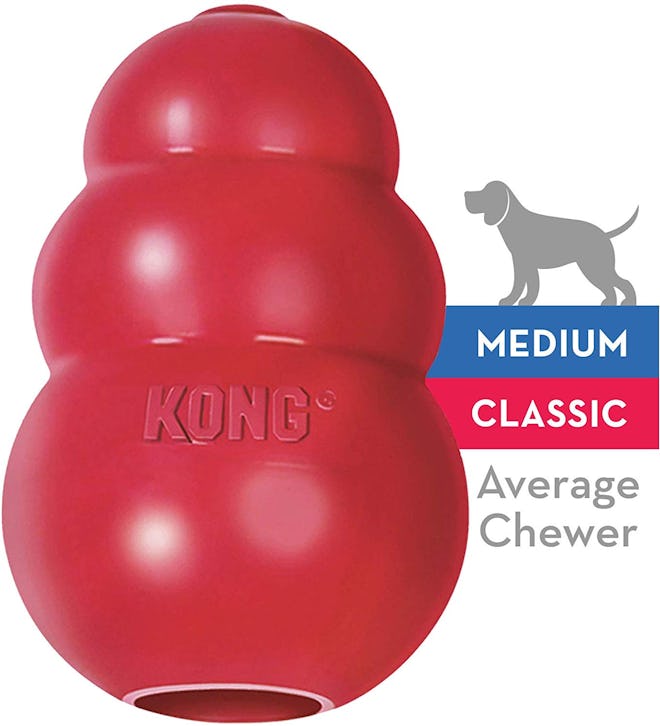 KONG Classic Dog Toy