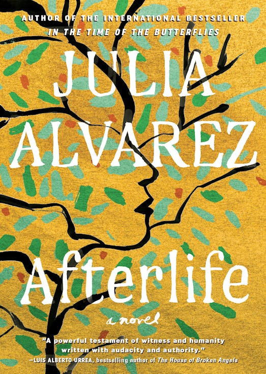 Afterlife by Julia Alvarez is a best book of 2020.