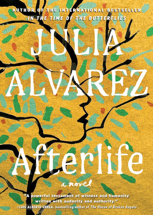 Afterlife by Julia Alvarez is a best book of 2020.