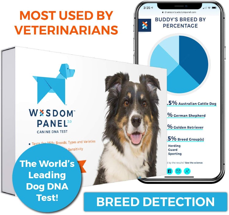 Wisdom Health Canine DNA Test