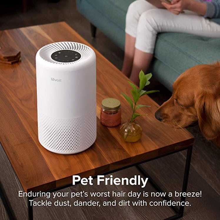 LEVOIT Air Purifier