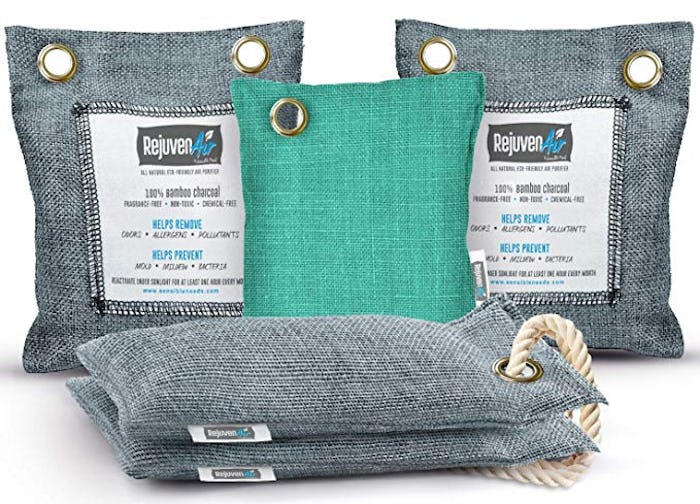 Sensible Needs Bamboo Charcoal Air Purifying Bag