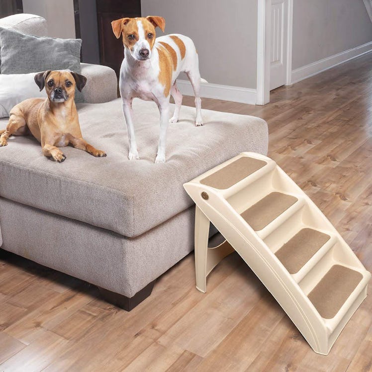 PetSafe Foldable Steps