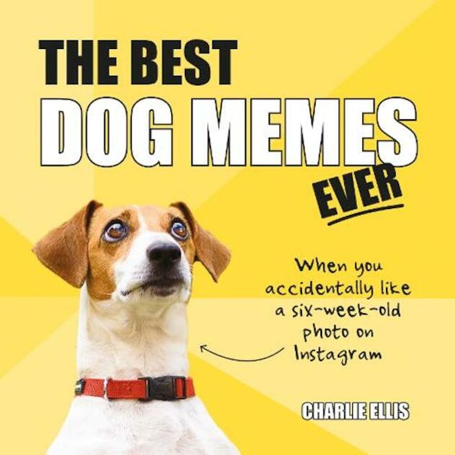 'The Best Dog Memes Ever' by Charlie Ellis