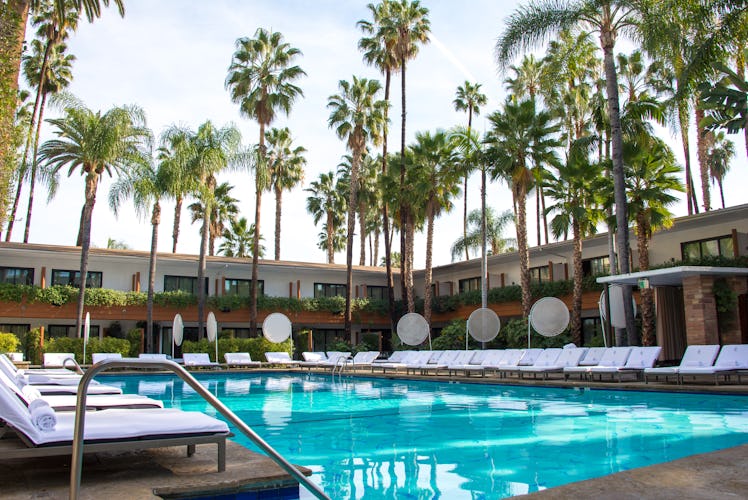 A blue hotel pool is surrounded by white chaises and towering California palm trees at The Hollywood...