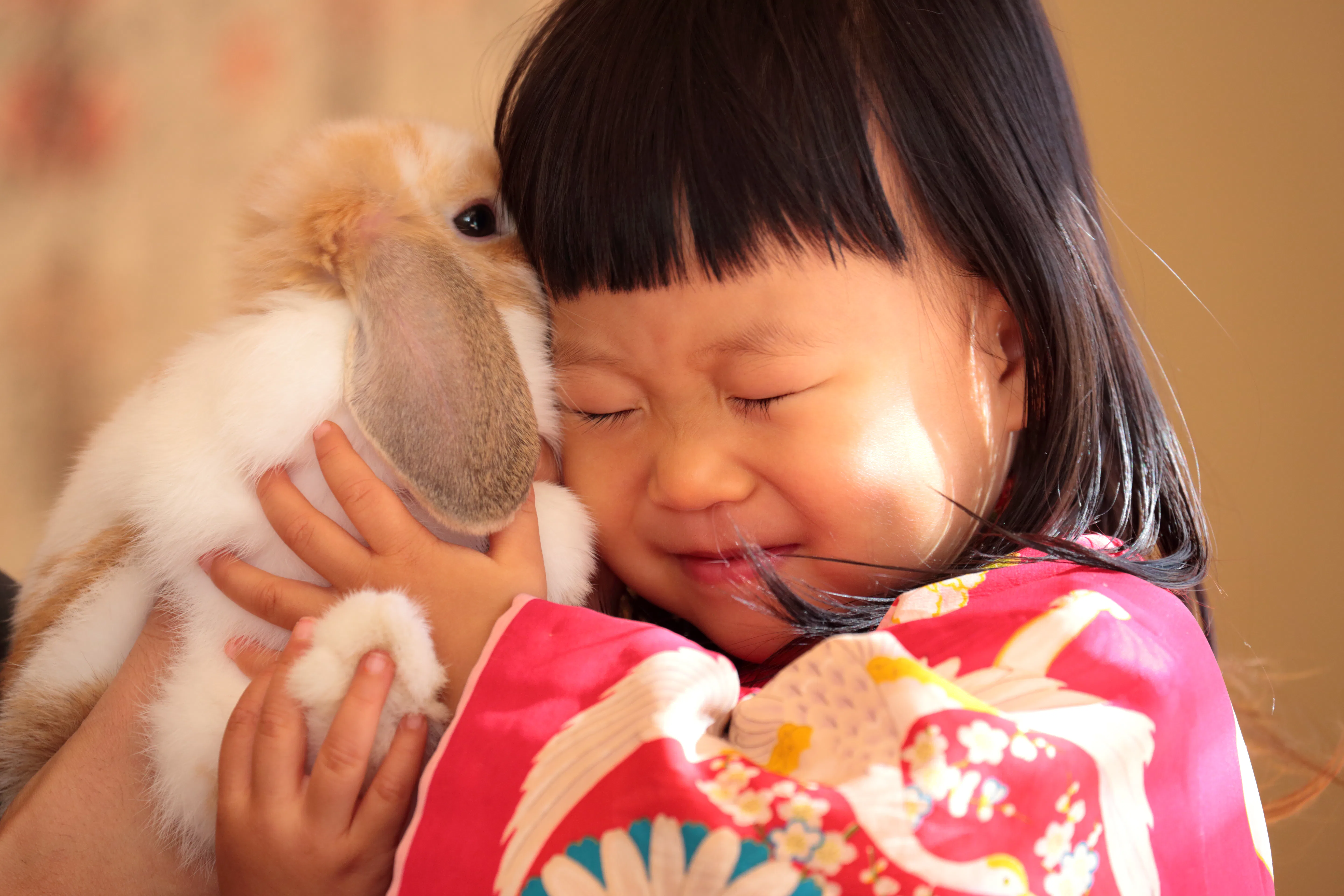 Little girl cuddles a rabbit