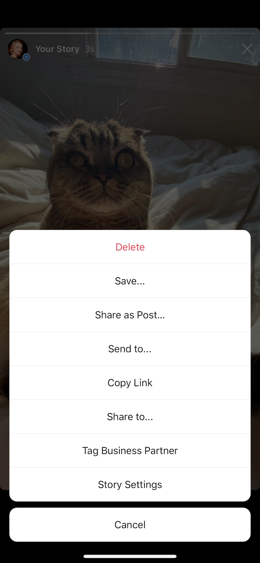 How To Turn Your Instagram Story Into A Post In Just A Few Clicks how-to-turn-your-instagram-story-into-a-post-in-just-a-few-clicks