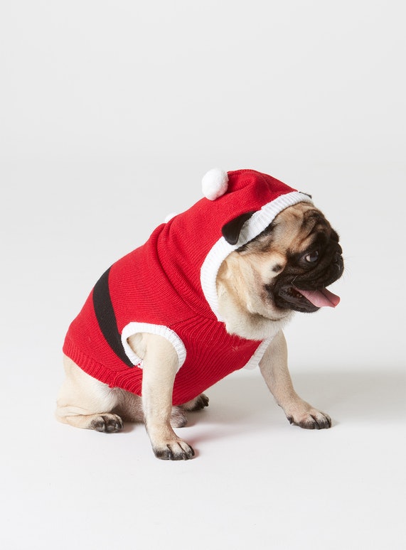 Pug jumpers deals for dogs