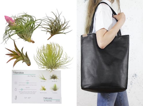 A plant subscription kit or a vegan work bag make excellent holiday gifts for vegans
