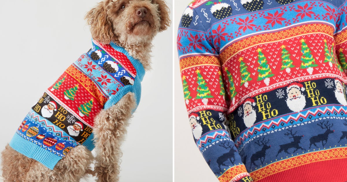 Matching christmas jumpers dog sale