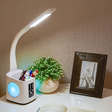 Wanjiaone Study LED Desk Lamp