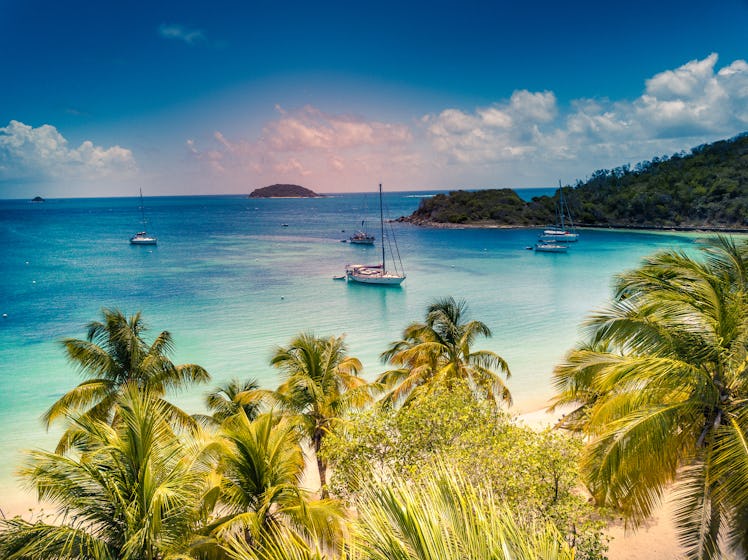 Expedia's Black Friday and Cyber Monday deals could score you a free flight.