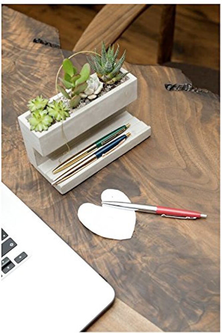 Kikkerland Desktop Planter Pen Holder