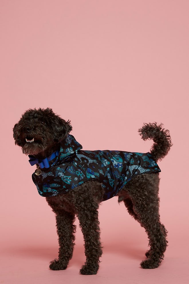 Animal Print Dog Raincoat