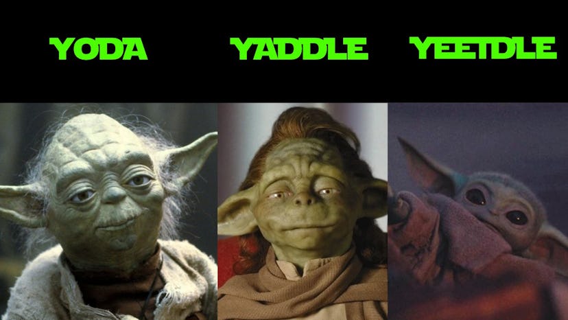 A picture of yoda, another of the species, Yaddle, and baby, Yeetle