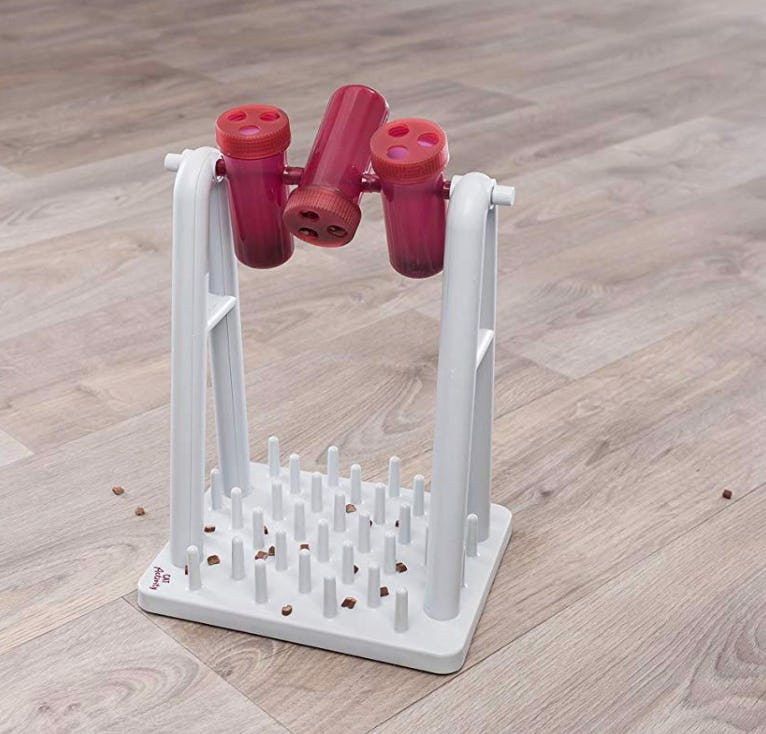 The 5 Best Toys For Smart Dogs