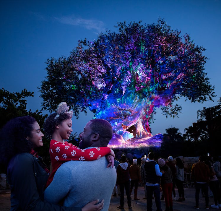 The Tree of Life at Disney's Animal Kingdom lights up for the holidays. 