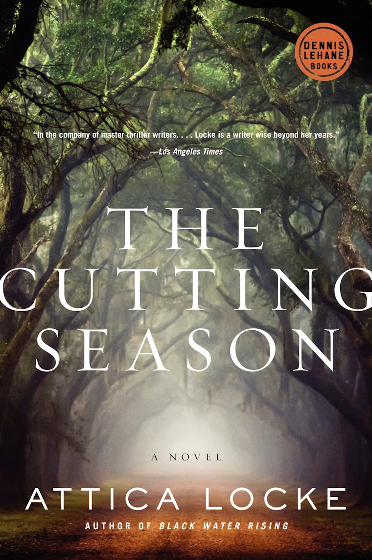 12 Books Like 'Knives Out' For Fans Of Family Sagas, Murder, & Knitwear