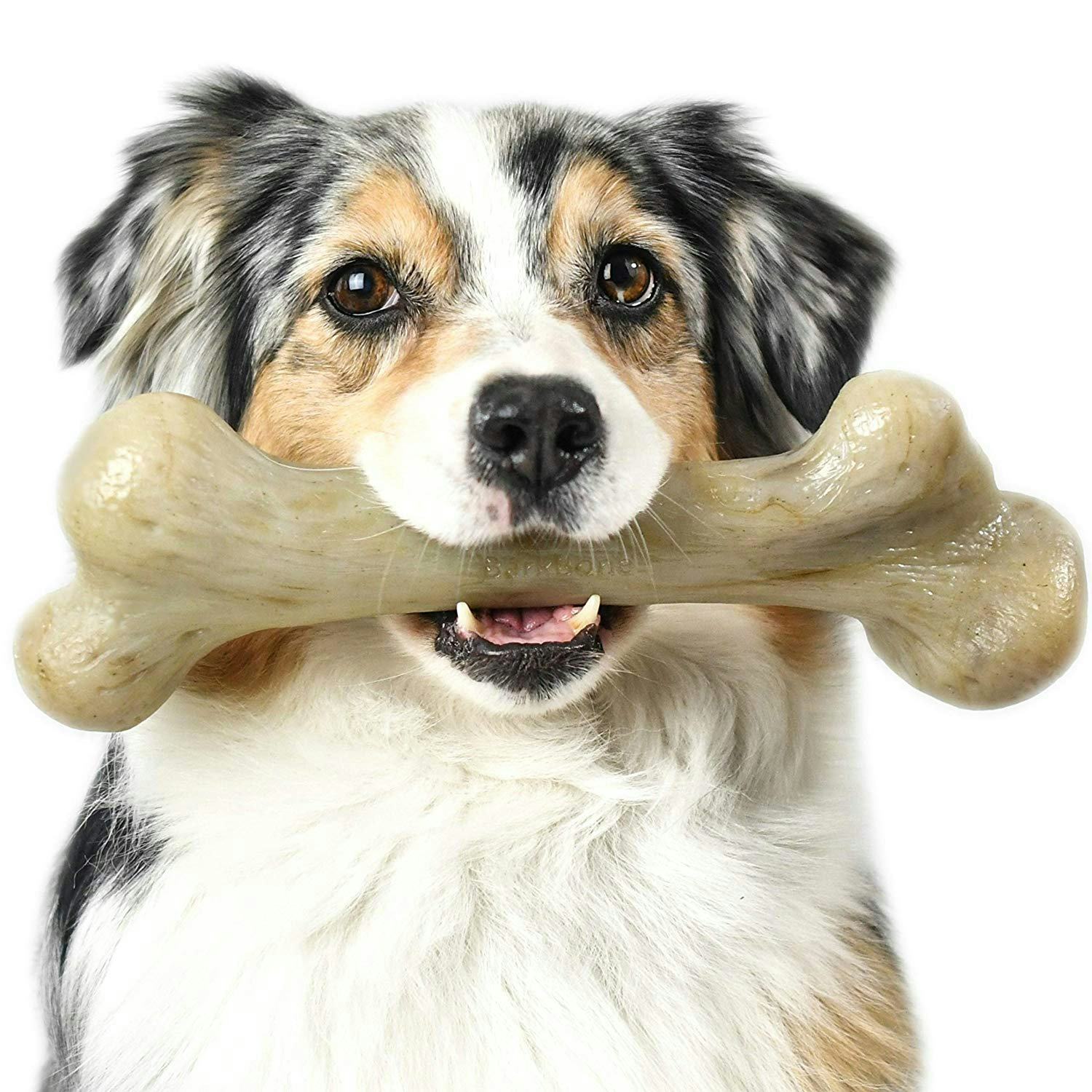 The 3 Best Dog Bones For Aggressive Chewers
