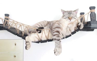 CatastrophiCreations Cat Mod Handcrafted Wall-Mounted Cat Bridge Shelf