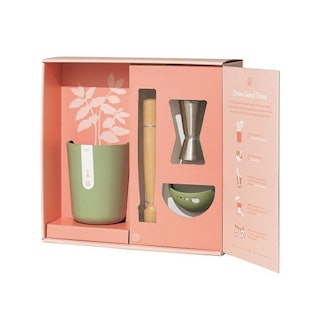 Celebrate Gift Set