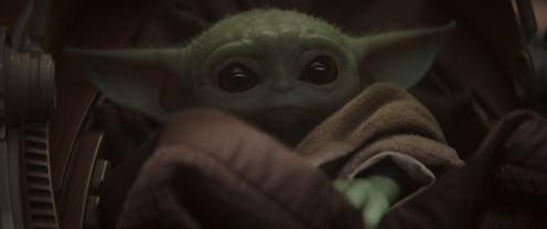Is Baby Yoda a clone?