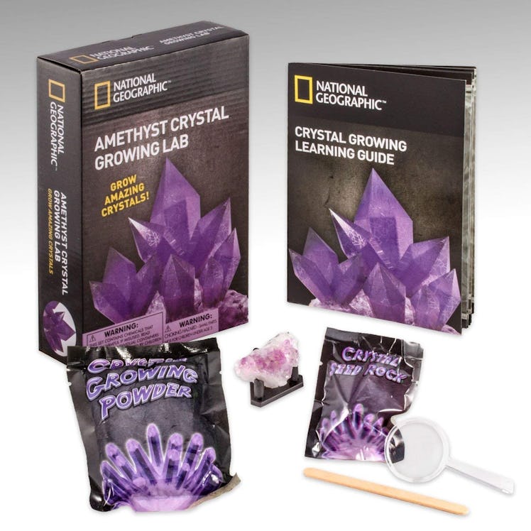 National Geographic Purple Crystal Growing Lab