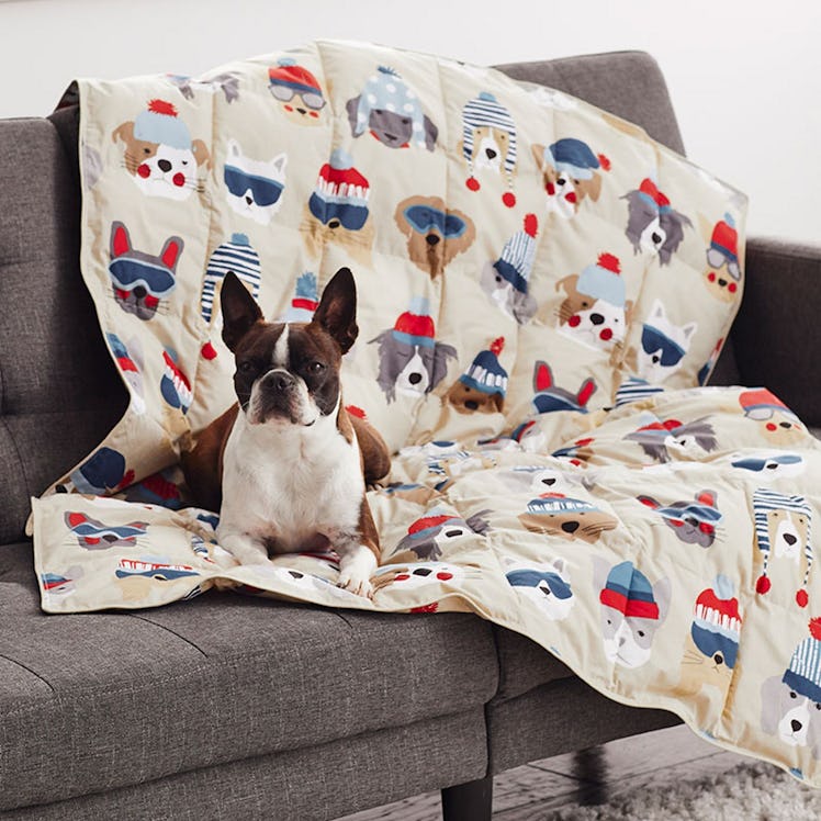 LoftAIRE Printed Dog Comforter