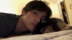 20 Photos of BTS and their pets, featuring V and his dog, Yeontan