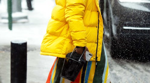 Yellow Puffer