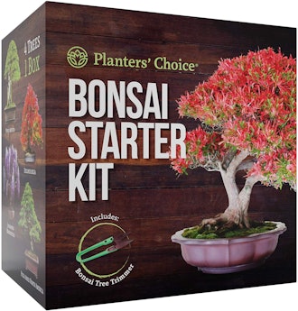 Planters' Choice Bonsai Starter Kit