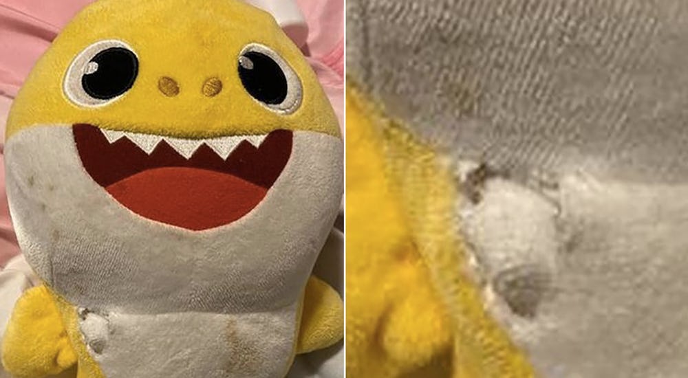 Baby Shark Toy Saves 3 Year Old Girl After Stray Bullet