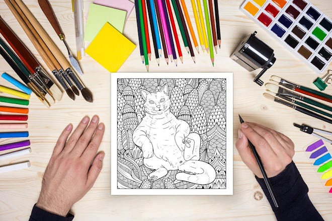 Cat Butt: An Off-Color Adult Coloring Book for Cat Lovers