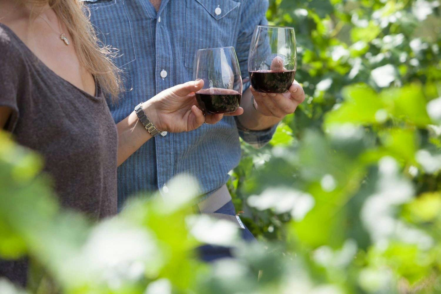 The 5 Best Unbreakable Wine Glasses